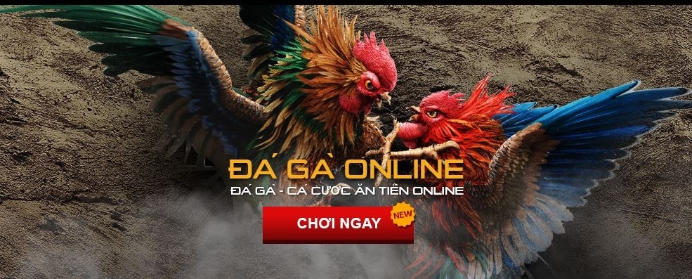 ĐÁ GÀ ONLINE 1 Da ga online
