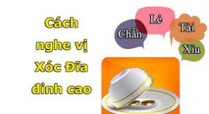 Bát và đĩa xóc đĩa với bốn nút hai màu trắng đỏ trên chiếu