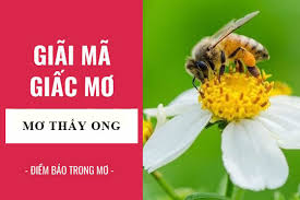 Mơ thấy ong đánh con gì? Giấc mơ mang điềm báo gì?