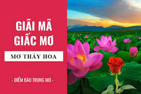 Ngủ mơ thấy hoa hồng đánh con gì? Giải mã giấc mơ thấy hoa hồng