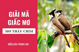 Ngủ mơ thấy chim đánh con gì? Giải mã giấc mơ thấy chim