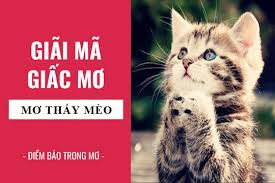 Mơ thấy mèo đánh con gì? – Giải mã giấc mơ thấy mèo chính xác 2020
